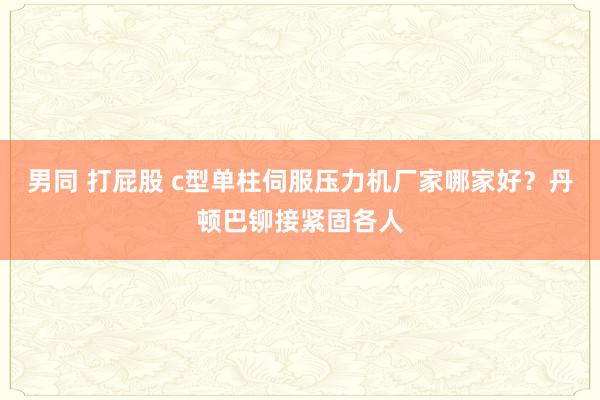 男同 打屁股 c型单柱伺服压力机厂家哪家好？丹顿巴铆接紧固各人