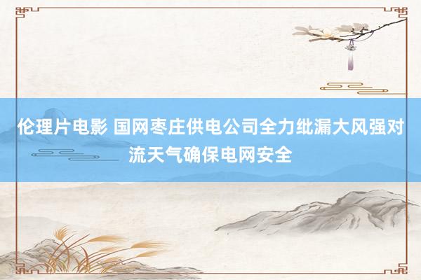 伦理片电影 国网枣庄供电公司全力纰漏大风强对流天气确保电网安全