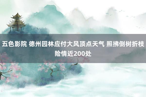 五色影院 德州园林应付大风顶点天气 照拂倒树折枝险情近200处