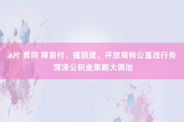 a片 男同 降首付、提额度、开放商转公直改行务 菏泽公积金策略大调治