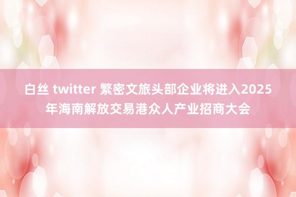 白丝 twitter 繁密文旅头部企业将进入2025年海南解放交易港众人产业招商大会