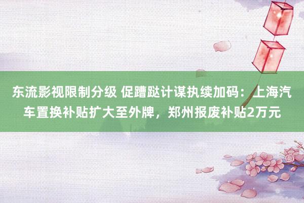 东流影视限制分级 促蹧跶计谋执续加码：上海汽车置换补贴扩大至外牌，郑州报废补贴2万元
