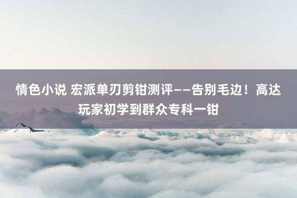 情色小说 宏派单刃剪钳测评——告别毛边！高达玩家初学到群众专科一钳