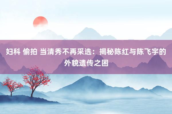 妇科 偷拍 当清秀不再采选：揭秘陈红与陈飞宇的外貌遗传之困