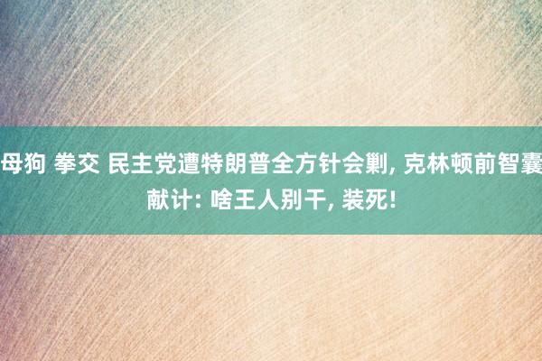 母狗 拳交 民主党遭特朗普全方针会剿, 克林顿前智囊献计: 啥王人别干, 装死!