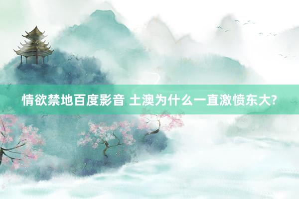 情欲禁地百度影音 土澳为什么一直激愤东大?