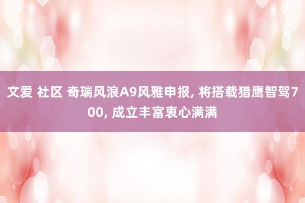 文爱 社区 奇瑞风浪A9风雅申报, 将搭载猎鹰智驾700, 成立丰富衷心满满