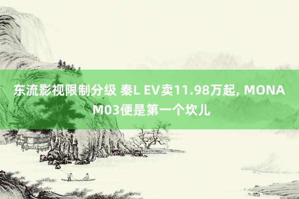 东流影视限制分级 秦L EV卖11.98万起, MONA M03便是第一个坎儿