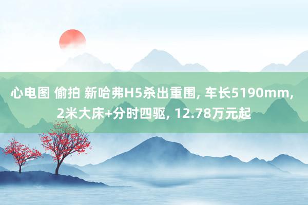 心电图 偷拍 新哈弗H5杀出重围, 车长5190mm, 2米大床+分时四驱, 12.78万元起