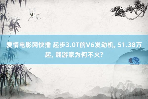 爱情电影网快播 起步3.0T的V6发动机, 51.38万起, 翱游家为何不火?