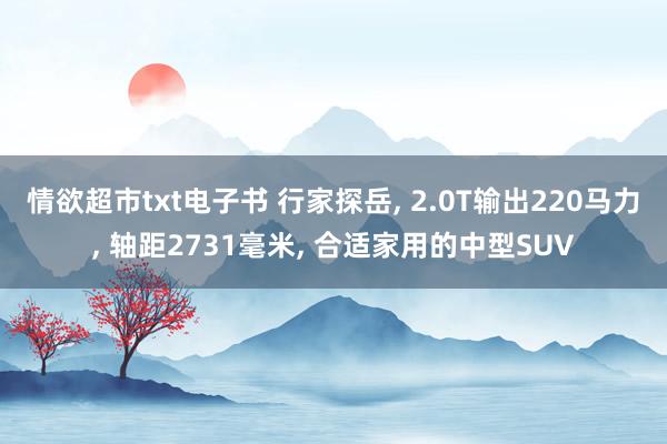 情欲超市txt电子书 行家探岳, 2.0T输出220马力, 轴距2731毫米, 合适家用的中型SUV