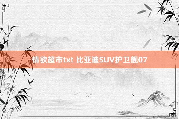 情欲超市txt 比亚迪SUV护卫舰07