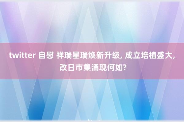 twitter 自慰 祥瑞星瑞焕新升级, 成立培植盛大, 改日市集涌现何如?