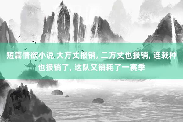 短篇情欲小说 大方丈报销, 二方丈也报销, 连栽种也报销了, 这队又销耗了一赛季
