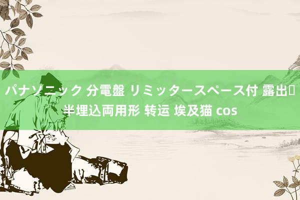 パナソニック 分電盤 リミッタースペース付 露出・半埋込両用形 转运 埃及猫 cos