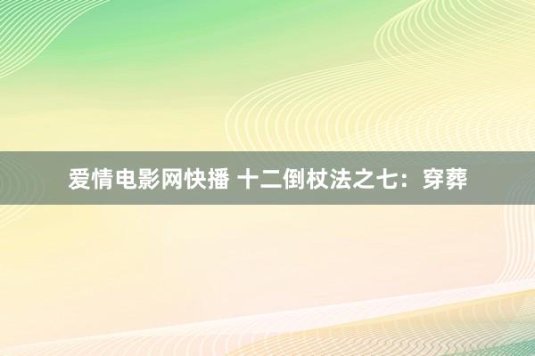 爱情电影网快播 十二倒杖法之七：穿葬