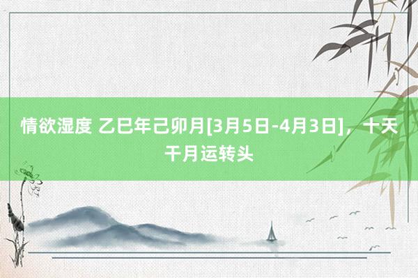 情欲湿度 乙巳年己卯月[3月5日-4月3日]，十天干月运转头