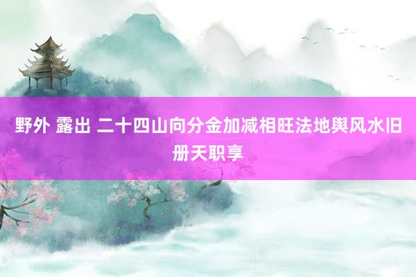 野外 露出 二十四山向分金加减相旺法地舆风水旧册天职享