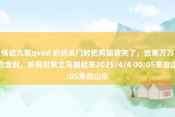 情欲九歌qvod 奶奶关门时把狗脑袋夹了，效果万万没念念到，听到对象立马蹦起来2025/4/4 00:05来自山东