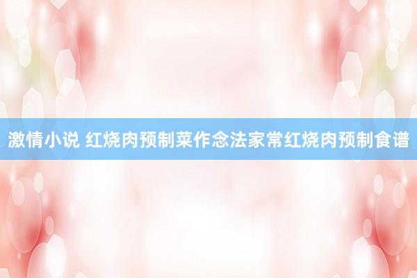 激情小说 红烧肉预制菜作念法家常红烧肉预制食谱