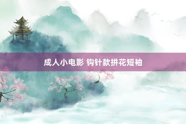 成人小电影 钩针款拼花短袖
